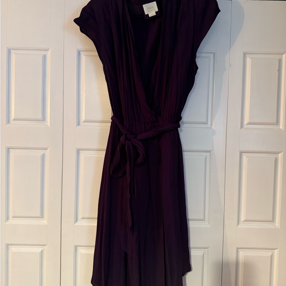 Anthropologie x Maeve Plum Purple Dress